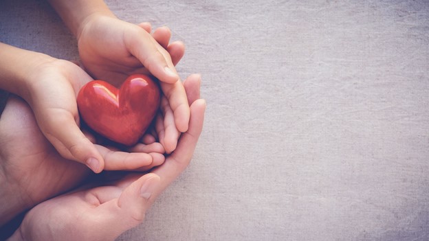 Two hands cupped and holding a heart.