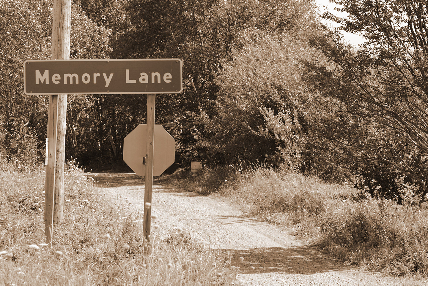 Memory-Lane Memory-Lane