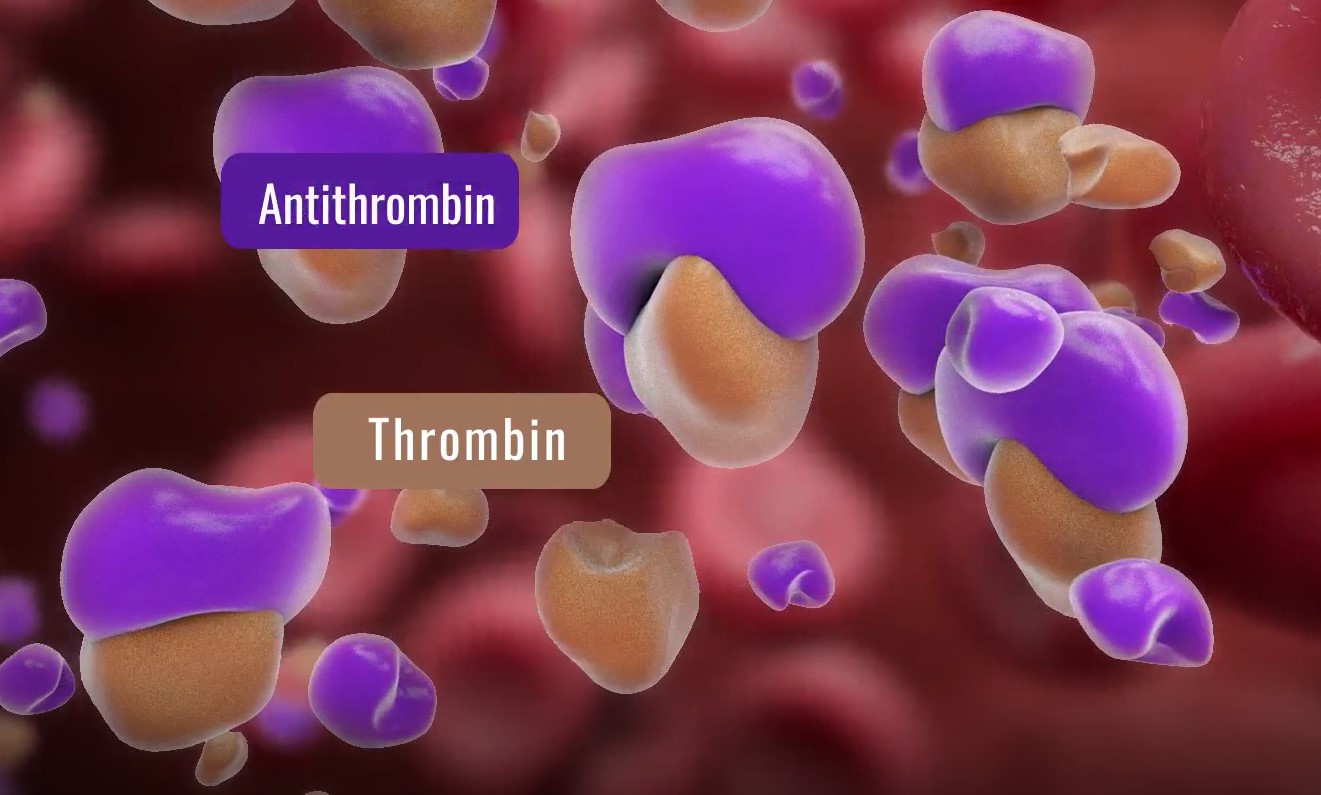 How siRNA Treatments for Hemophilia Work